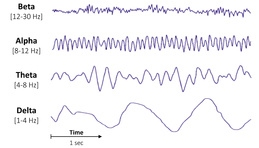 Bandpower Of An Eeg Signal