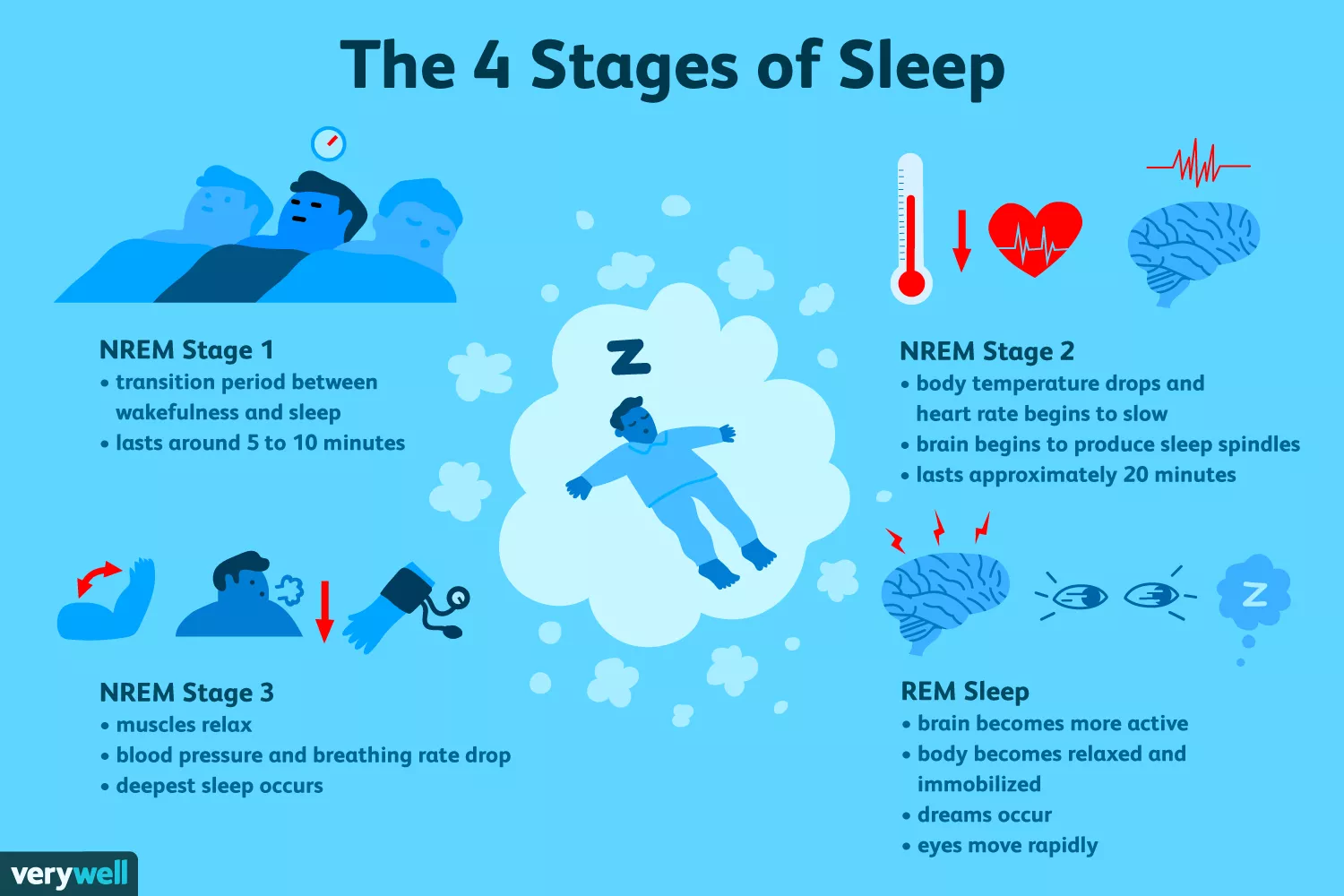 The four stages of sleep